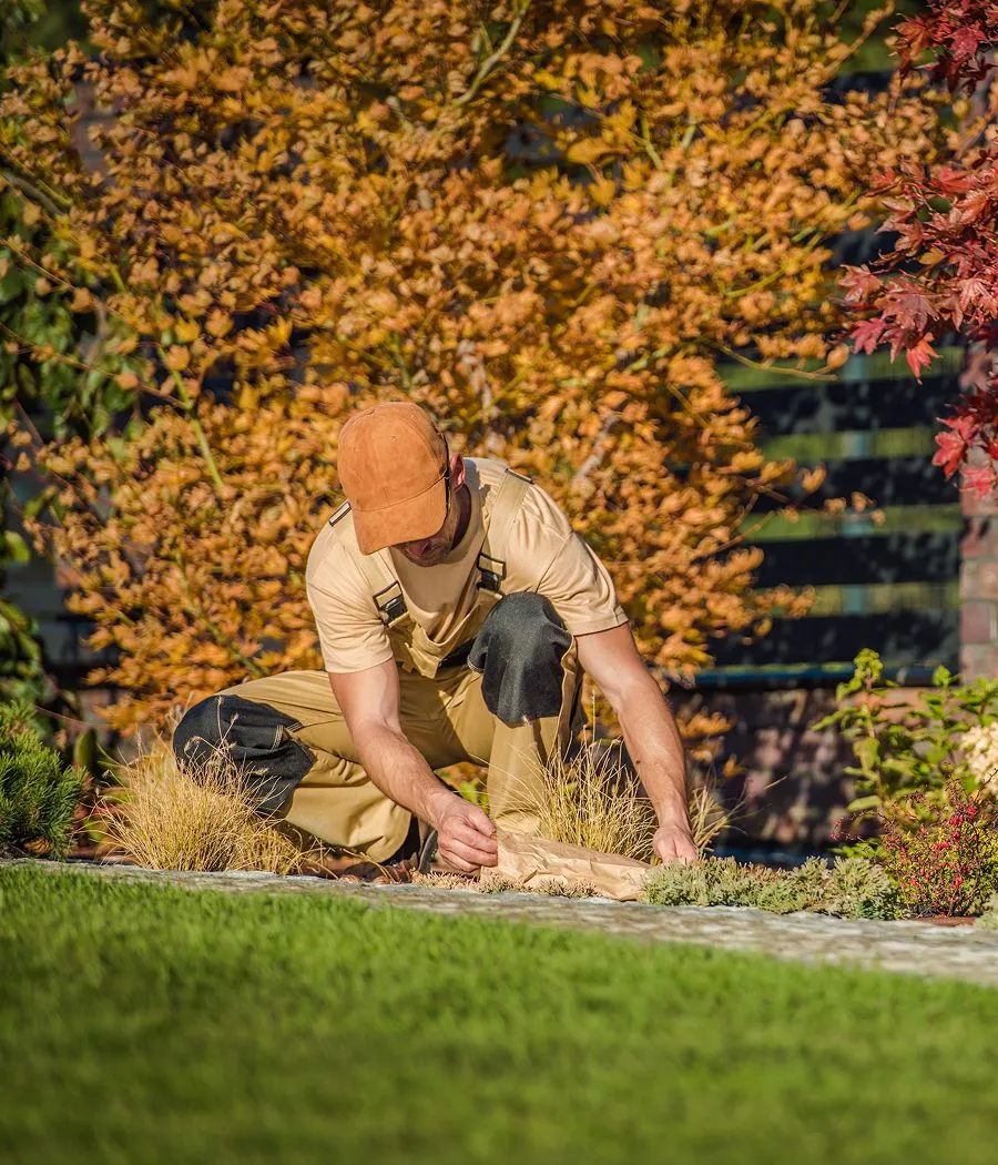 Groundedpatiolandscapeinstall