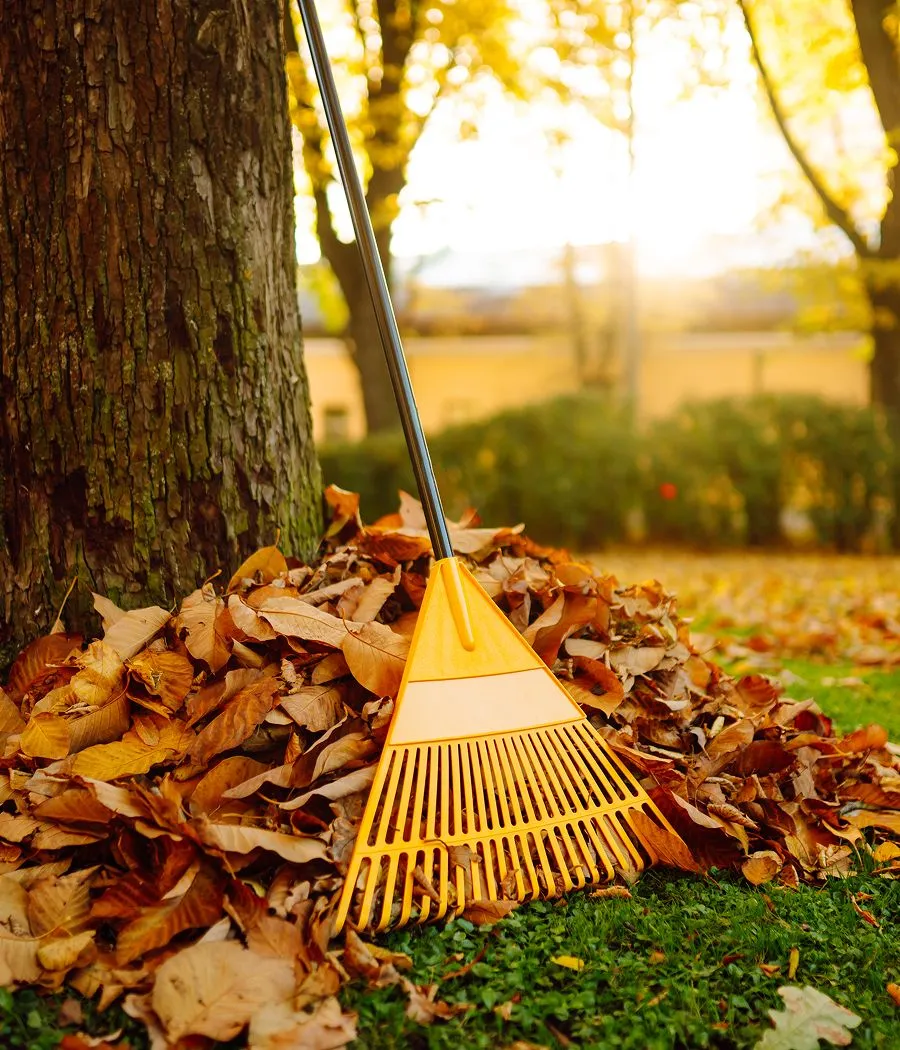 Groundedspringfallcleanup