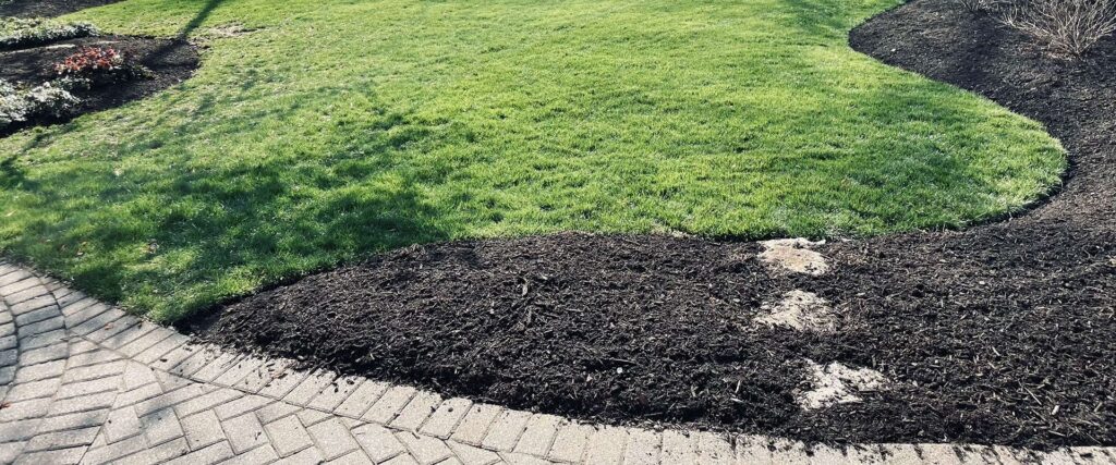 Fresh mulch installation around garden beds