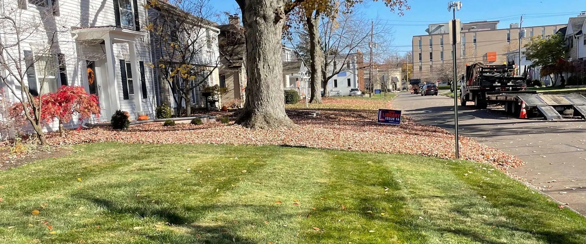 Groundedstripspringfallcleanup