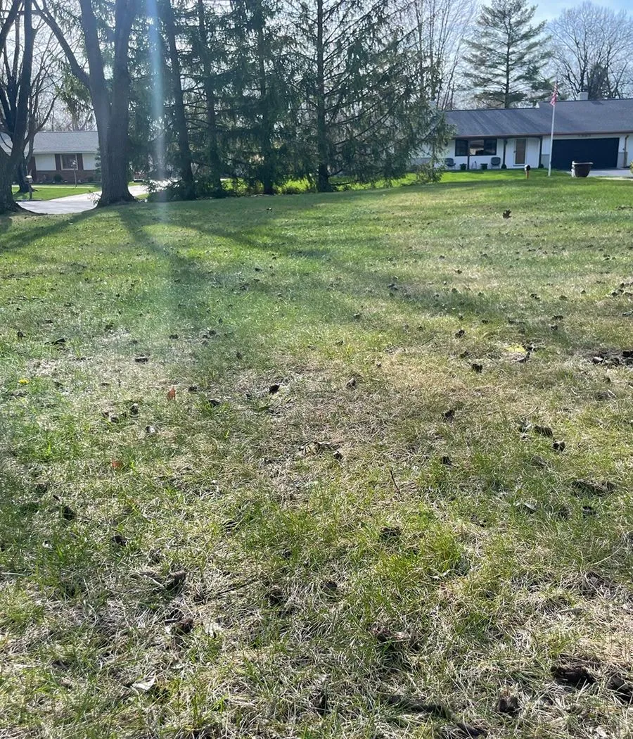 Groundedsuppaerator