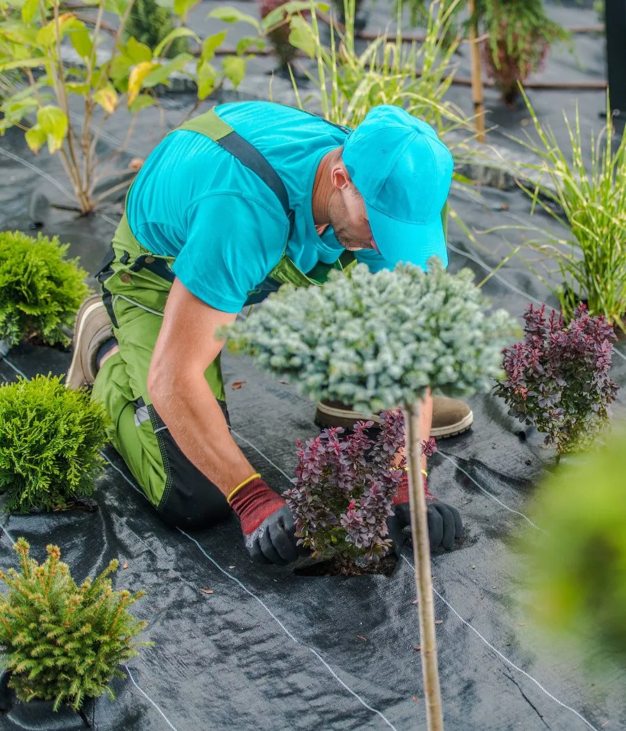 Groundedsupplandscapeinstall