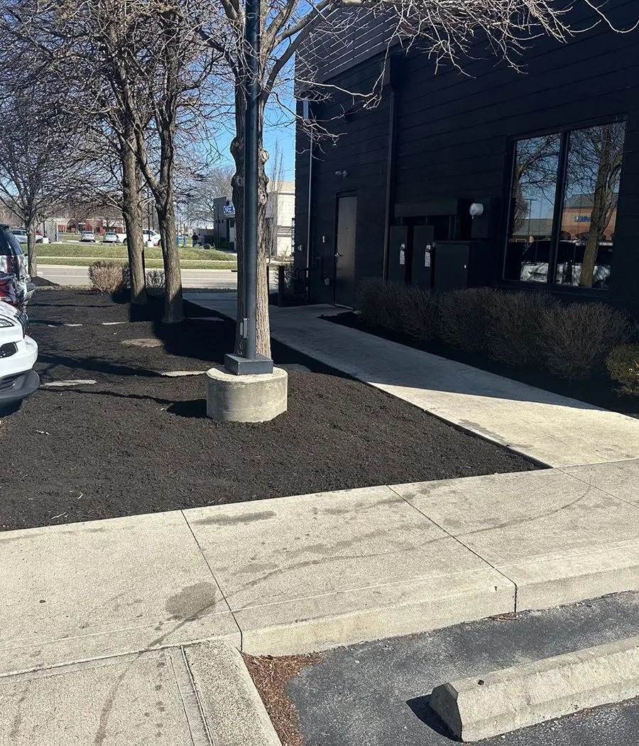 Groundedsuppmulching