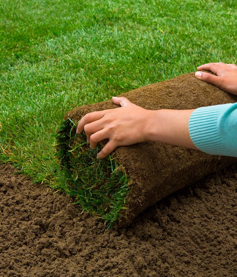 Groundedsuppsodinstallation