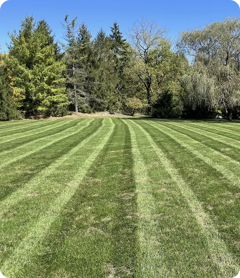 New Lawn - Grounded Landscaping Columbus OH
