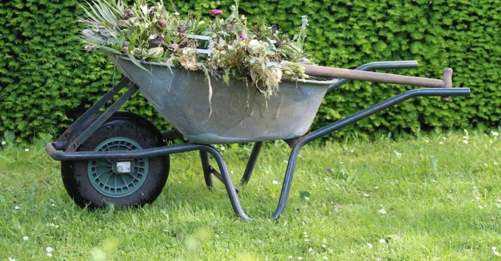 Lawn mower winterization and maintenance